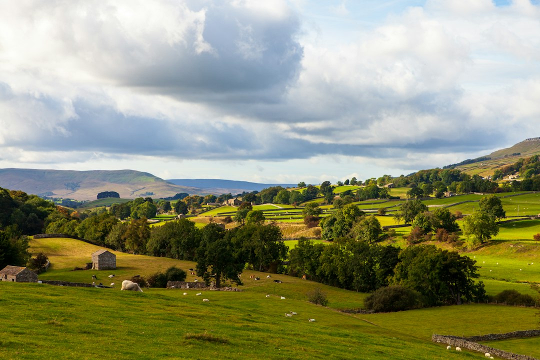 Green rural landscape in the wider Yorkshire region near Brighouse