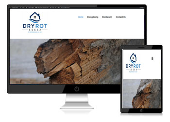 Dry Rot Essex