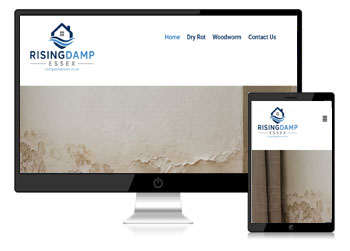 Rising Damp Essex