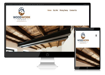 Woodworm Essex